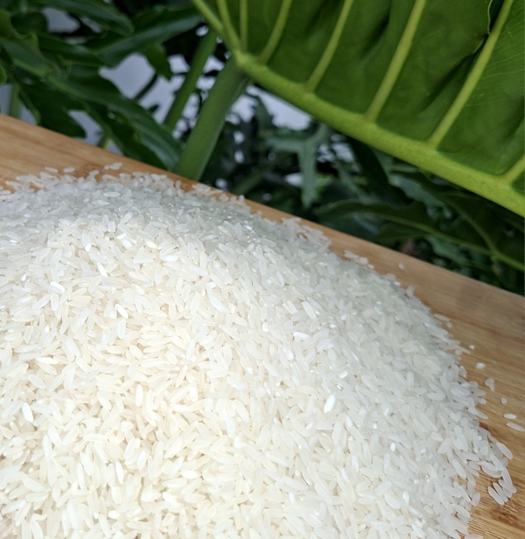 Dinorado Rice